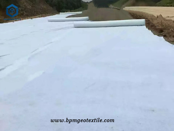 PP Spunbond Nonwoven Fabric for Road Construction in Chile