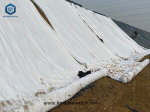 Filament Geo Fabric Material for Highway Embankment Reinforcement Projects in USA