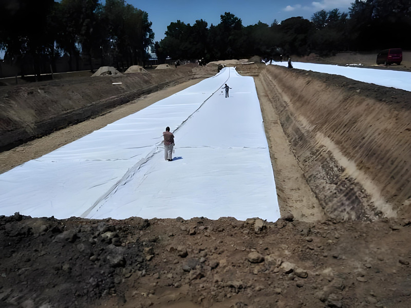 Woven Geotextile Fabric for Dam Liner