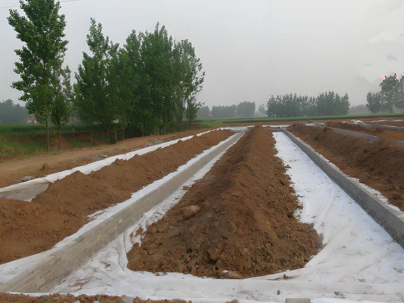 Geotextile Fabric For Driveway for Agriculture Garden