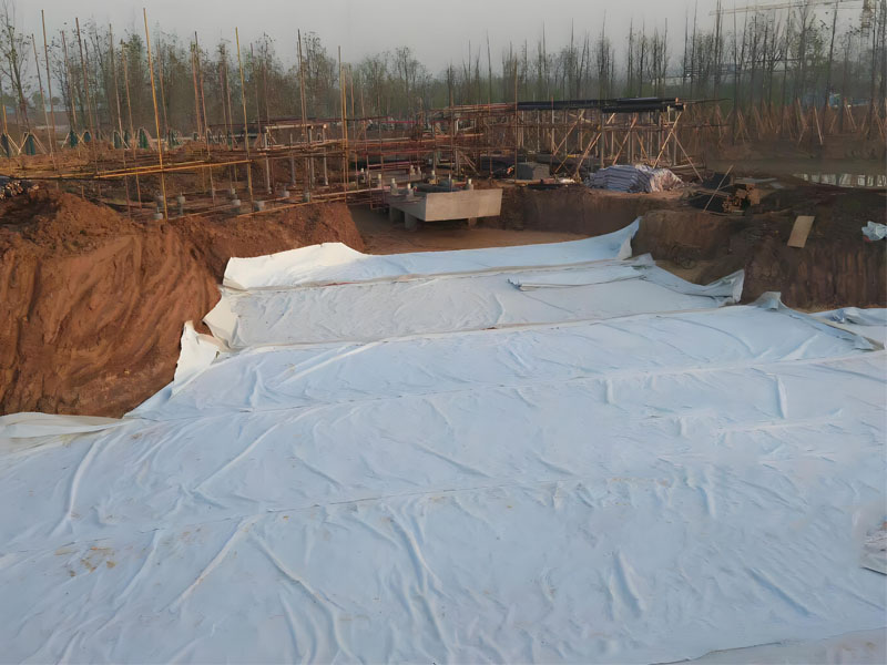 Polypropylene PP Fabric Non Woven Geotextile for Landfill