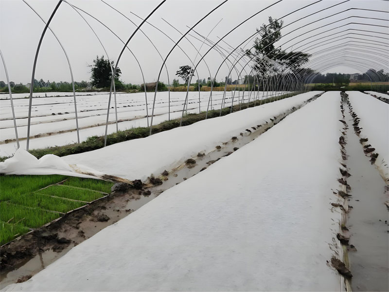 Factory Price Geotextile Nonwoven for Agricultural Coverage